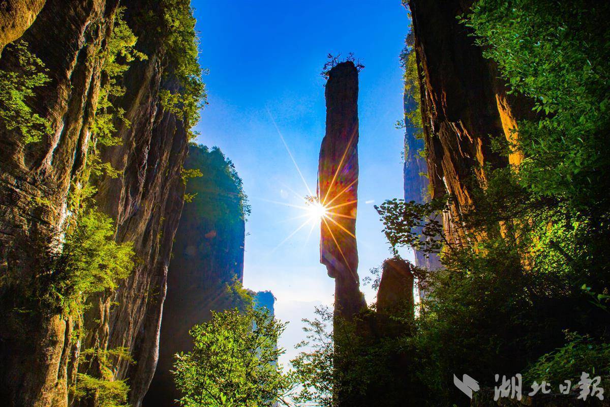 海洋之神590快速充值